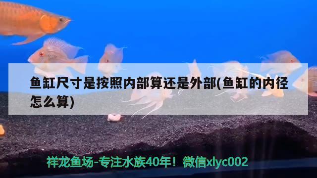 水族箱魚缸安裝視頻大全(水族箱的安裝方法視頻) 魚缸/水族箱