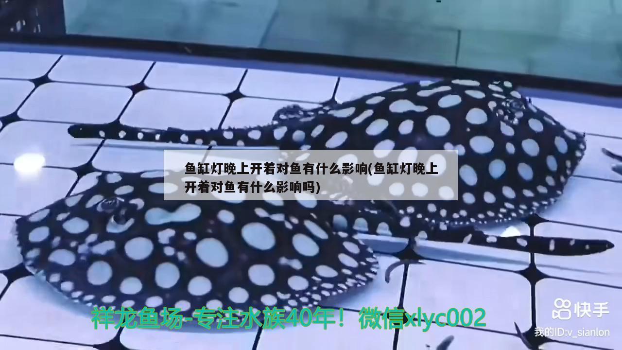 魚缸燈晚上開著對魚有什么影響(魚缸燈晚上開著對魚有什么影響嗎)