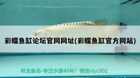 彩蝶魚缸論壇官網網址(彩蝶魚缸官方網站) 巨骨舌魚