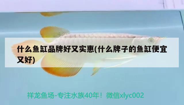 什么魚缸品牌好又實(shí)惠(什么牌子的魚缸便宜又好) 充氧泵