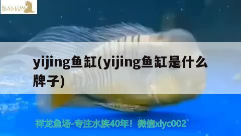 yijing魚缸(yijing魚缸是什么牌子)