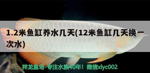 魚(yú)缸店圖片(賣場(chǎng)魚(yú)缸圖片) 和尚魚(yú)