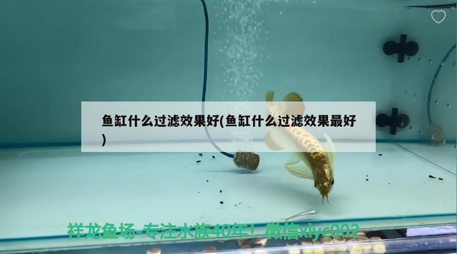 魚(yú)缸什么過(guò)濾效果好(魚(yú)缸什么過(guò)濾效果最好) 一眉道人魚(yú)