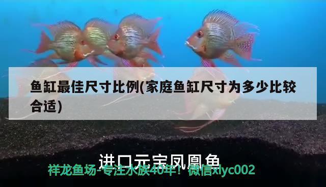 魚缸生青苔怎么辦 需及時(shí)解決，如何減小魚缸里氣泡石水聲