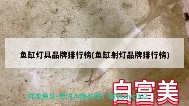 魚缸燈具品牌排行榜(魚缸射燈品牌排行榜) 黃寬帶蝴蝶魚