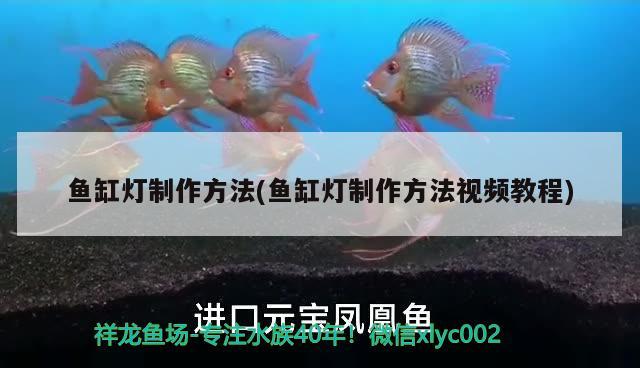 魚缸燈制作方法(魚缸燈制作方法視頻教程)