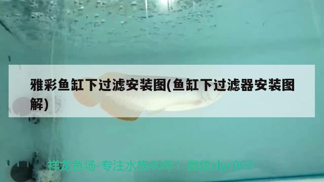 雅彩魚缸下過濾安裝圖(魚缸下過濾器安裝圖解) 白化巴西龜（白巴）