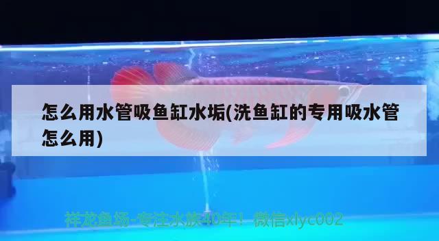 怎么用水管吸魚缸水垢(洗魚缸的專用吸水管怎么用)