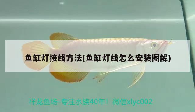 魚缸燈接線方法(魚缸燈線怎么安裝圖解)