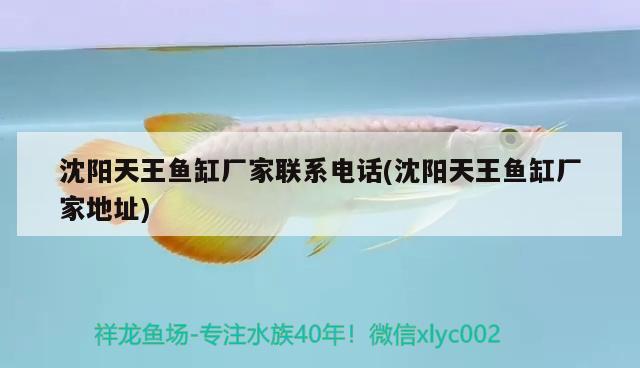 沈陽(yáng)天王魚(yú)缸廠家聯(lián)系電話(沈陽(yáng)天王魚(yú)缸廠家地址) 野彩魚(yú)