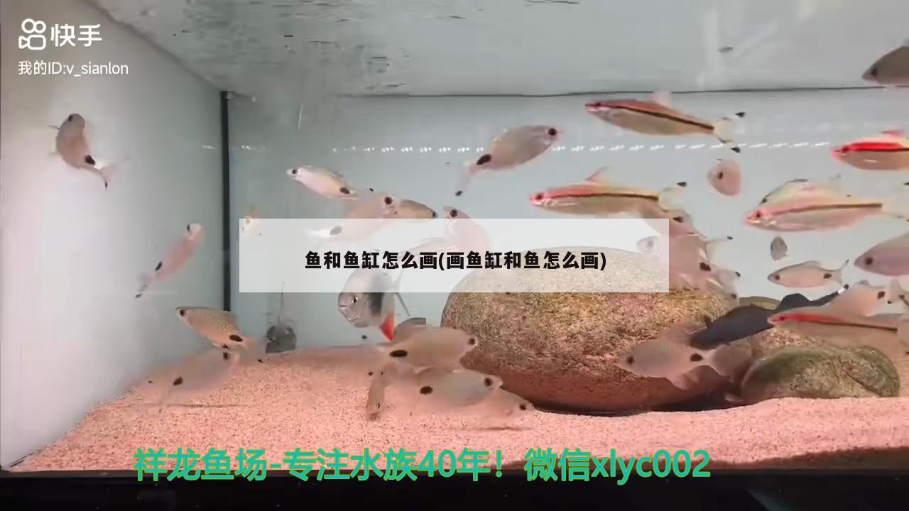 魚和魚缸怎么畫(畫魚缸和魚怎么畫) PH調(diào)節(jié)劑