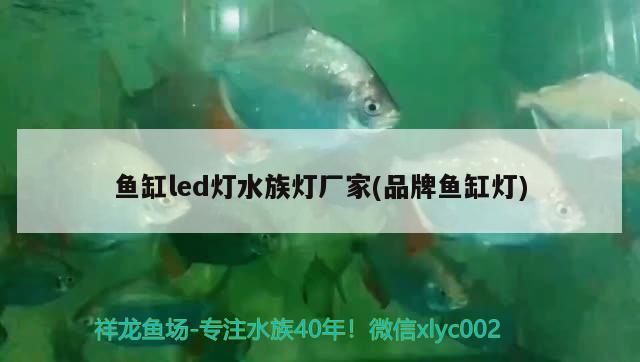 魚缸led燈水族燈廠家(品牌魚缸燈)