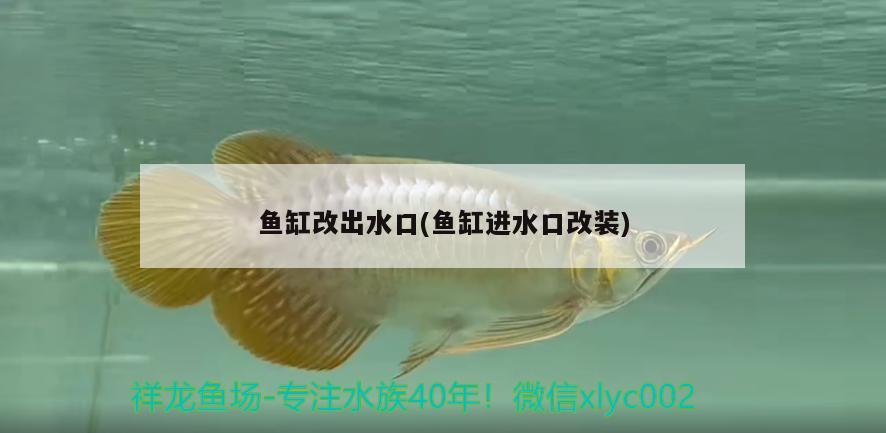 魚缸改出水口(魚缸進(jìn)水口改裝)