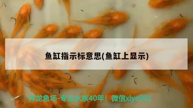 魚缸指示標意思(魚缸上顯示)