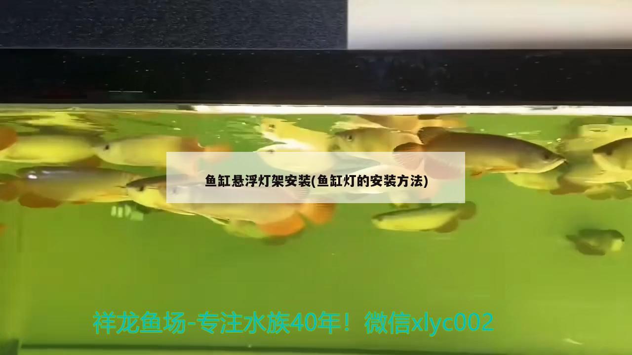 魚(yú)缸懸浮燈架安裝(魚(yú)缸燈的安裝方法)