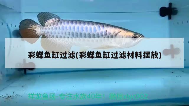 彩蝶魚缸過濾(彩蝶魚缸過濾材料擺放)