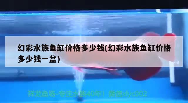 幻彩水族魚缸價格多少錢(幻彩水族魚缸價格多少錢一盆)