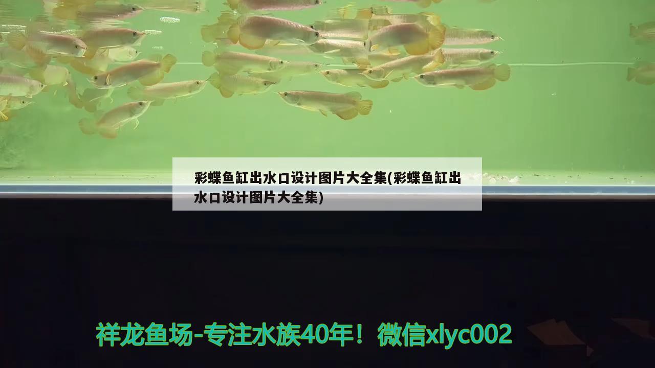 彩蝶魚缸出水口設(shè)計圖片大全集(彩蝶魚缸出水口設(shè)計圖片大全集)