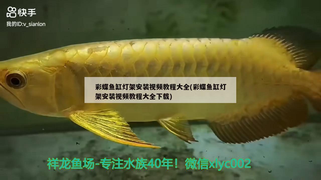 彩蝶魚缸燈架安裝視頻教程大全(彩蝶魚缸燈架安裝視頻教程大全下載) 福滿鉆魚