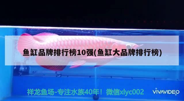 魚缸品牌排行榜10強(魚缸大品牌排行榜)