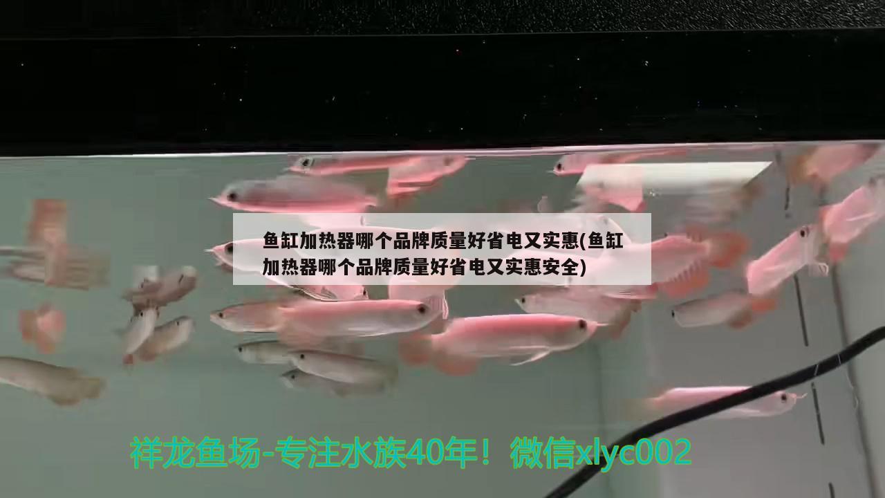 魚缸加熱器哪個(gè)品牌質(zhì)量好省電又實(shí)惠(魚缸加熱器哪個(gè)品牌質(zhì)量好省電又實(shí)惠安全)