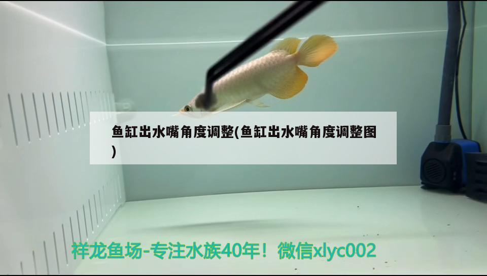 魚缸出水嘴角度調(diào)整(魚缸出水嘴角度調(diào)整圖) 戰(zhàn)車紅龍魚