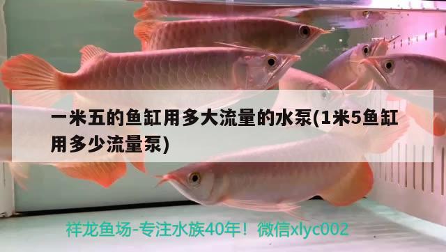 一米五的魚缸用多大流量的水泵(1米5魚缸用多少流量泵)