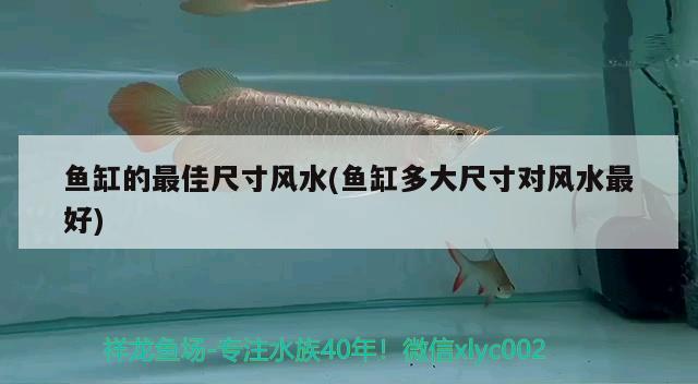 魚缸的最佳尺寸風(fēng)水(魚缸多大尺寸對(duì)風(fēng)水最好) 魚缸風(fēng)水