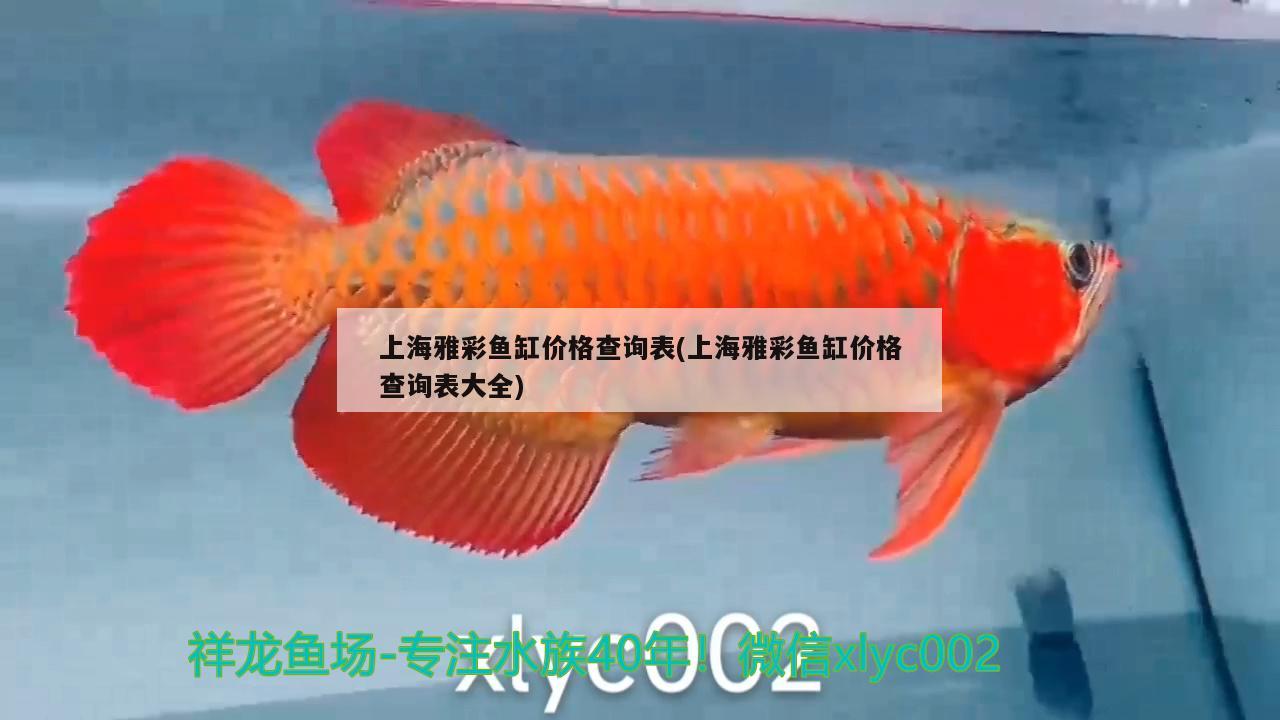 上海雅彩魚缸價格查詢表(上海雅彩魚缸價格查詢表大全) 元寶鳳凰魚