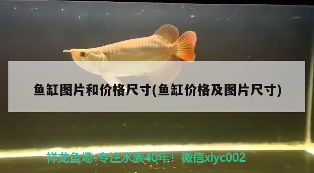 魚缸圖片和價(jià)格尺寸(魚缸價(jià)格及圖片尺寸) 水族雜談