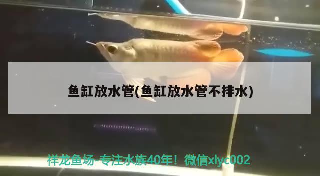 鹽城水族批發(fā)市場有哪些品種的魚類（凸透鏡成像練習(xí)題ukykkikyk） 觀賞魚水族批發(fā)市場 第2張