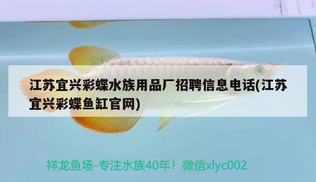 江蘇宜興彩蝶水族用品廠招聘信息電話(江蘇宜興彩蝶魚缸官網(wǎng))