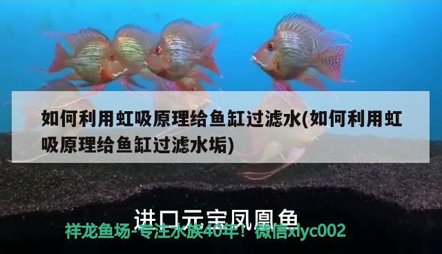 北京哪有專門賣二手魚缸的地方，北京哪個地方能夠買到既好又便宜的魚缸