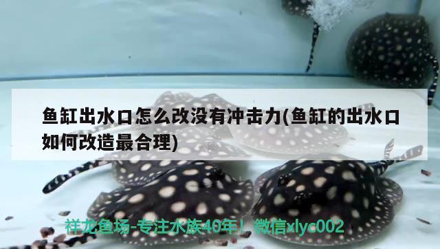 魚缸出水口怎么改沒有沖擊力(魚缸的出水口如何改造最合理) 藍(lán)底過背金龍魚