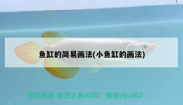 魚缸的簡易畫法(小魚缸的畫法) 大嘴鯨魚