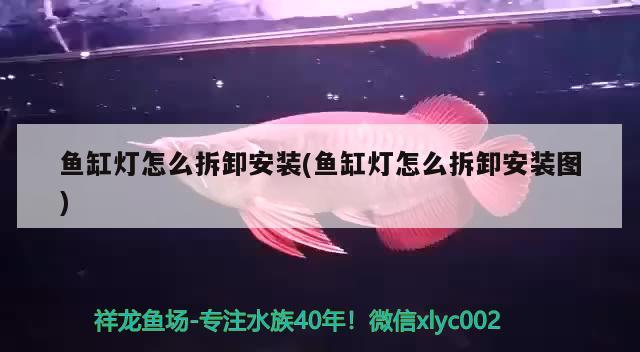 魚缸燈怎么拆卸安裝(魚缸燈怎么拆卸安裝圖) 水族維護(hù)服務(wù)（上門）