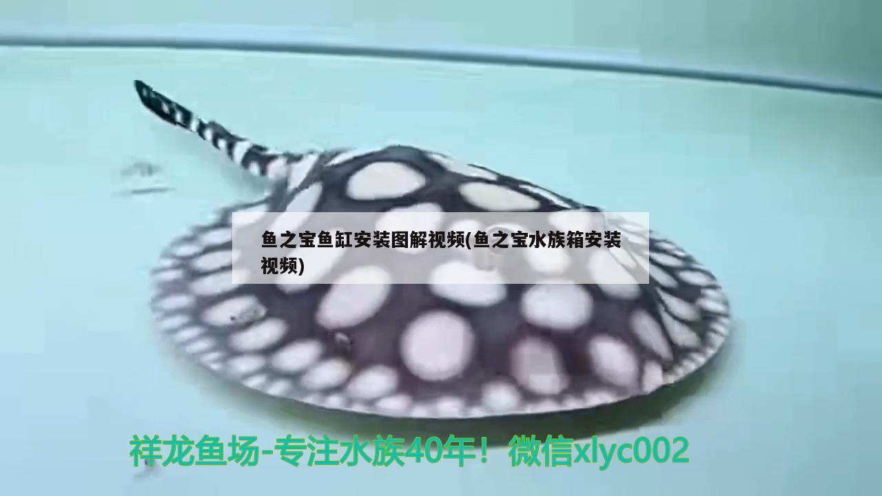 魚之寶魚缸安裝圖解視頻(魚之寶水族箱安裝視頻)