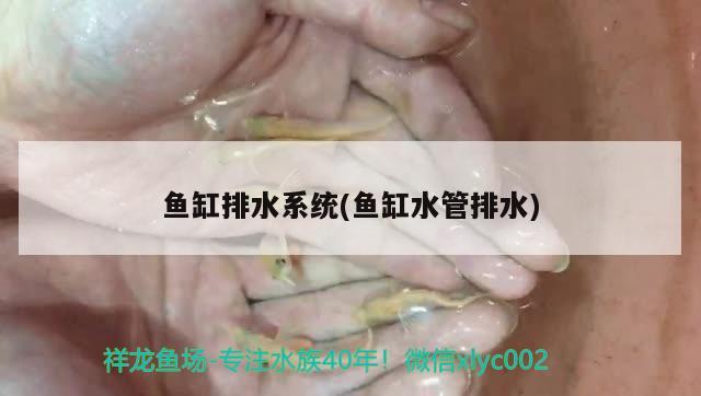 魚(yú)缸排水系統(tǒng)(魚(yú)缸水管排水)