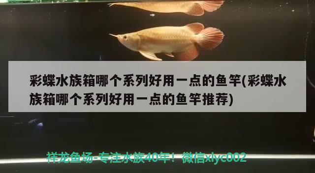 彩蝶水族箱哪個系列好用一點的魚竿(彩蝶水族箱哪個系列好用一點的魚竿推薦)