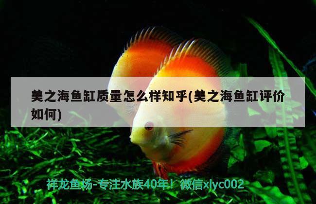 美之海魚缸質量怎么樣知乎(美之海魚缸評價如何) 月光鴨嘴魚