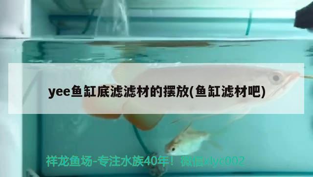 yee魚缸底濾濾材的擺放(魚缸濾材吧)