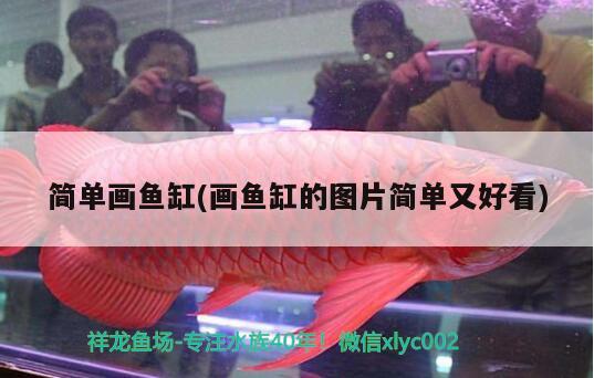 簡單畫魚缸(畫魚缸的圖片簡單又好看) 黃金斑馬魚