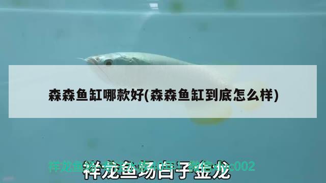 森森魚缸哪款好(森森魚缸到底怎么樣)