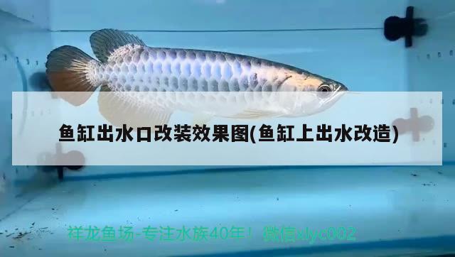 魚缸出水口改裝效果圖(魚缸上出水改造)