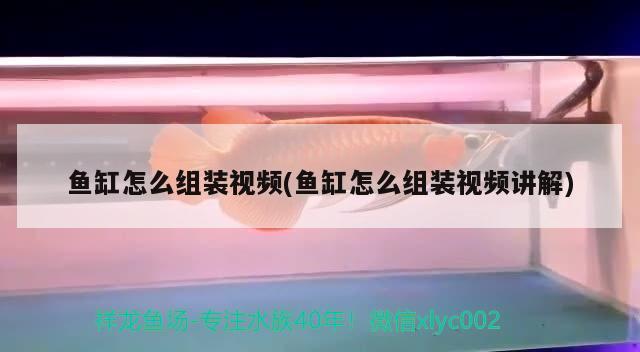 魚缸玻璃易碎嗎怎么處理（魚缸玻璃容易碎嗎） 其他品牌魚缸