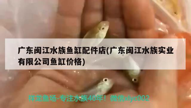 泰州金龍魚集團(tuán)公司招聘信息最新消息 泰州金龍魚集團(tuán)公司招聘信息最新消息電話 水族世界 第2張