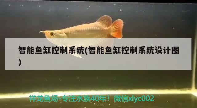 智能魚缸控制系統(tǒng)(智能魚缸控制系統(tǒng)設(shè)計圖) 稀有金龍魚