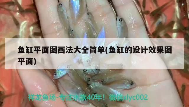 龍魚腸炎怎么治：龍魚腸炎的治療 祥龍水族醫(yī)院 第3張