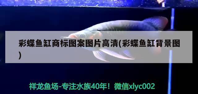 彩蝶魚缸商標圖案圖片高清(彩蝶魚缸背景圖)