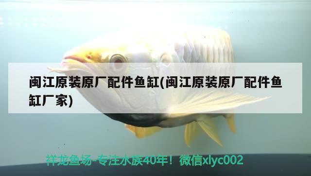 閩江原裝原廠配件魚缸(閩江原裝原廠配件魚缸廠家)